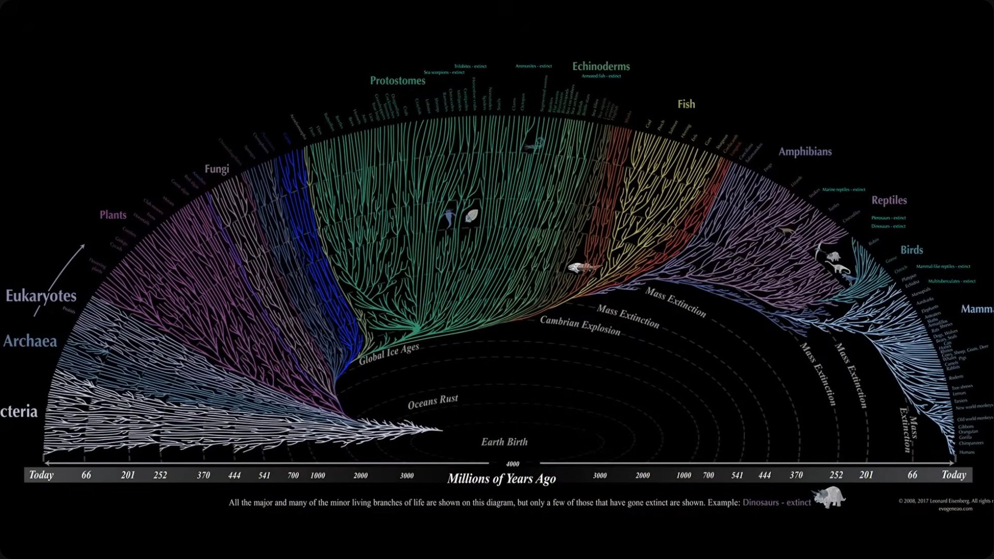 The evolutionary tree of life shows how all known organisms trace back to a single common origin—protecting that singular experiment requires expanding beyond Earth before the next mass extinction event.