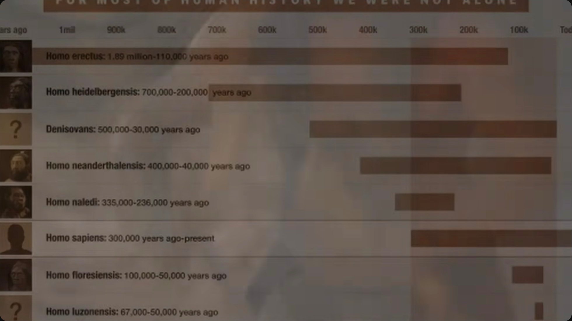 A timeline of human species shows how recently Homo sapiens achieved spaceflight—only in the final 64 years of a 300,000-year existence, and only after 12,000 years of post-agricultural civilization.