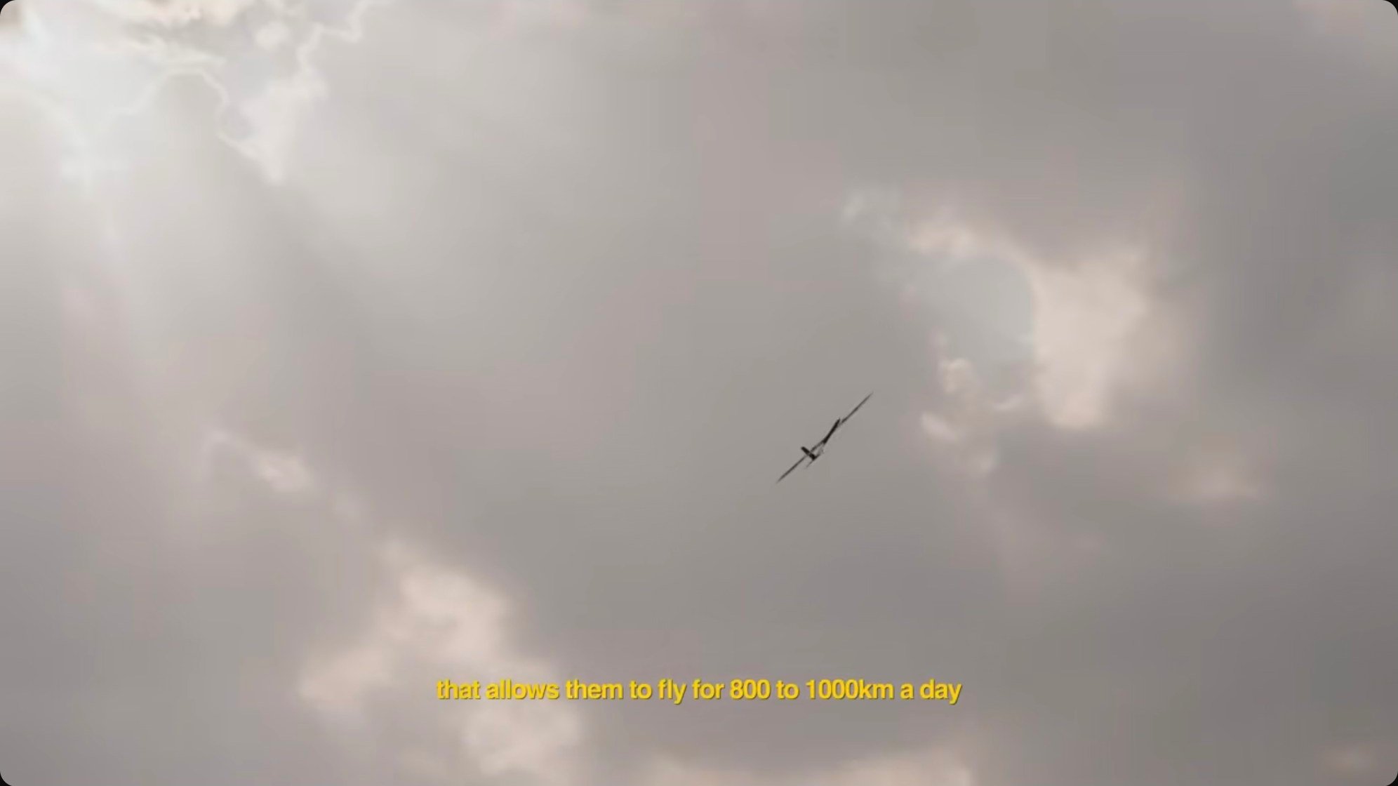 A UAV in flight—designed to harvest energy from wind and remain airborne for over 400 days without landing.